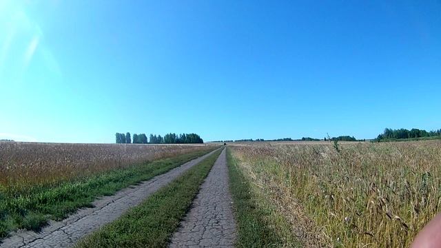 Поход через Боровлянский бор. День 6-й