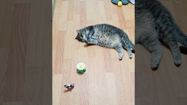 1000016112.mp4