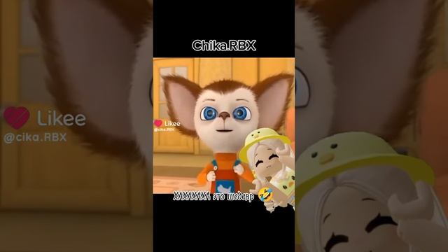 1000003847.mp4