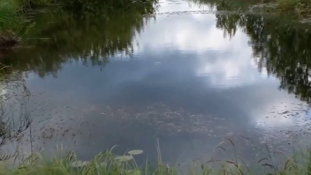 Гребенщиков Б   Город золотой