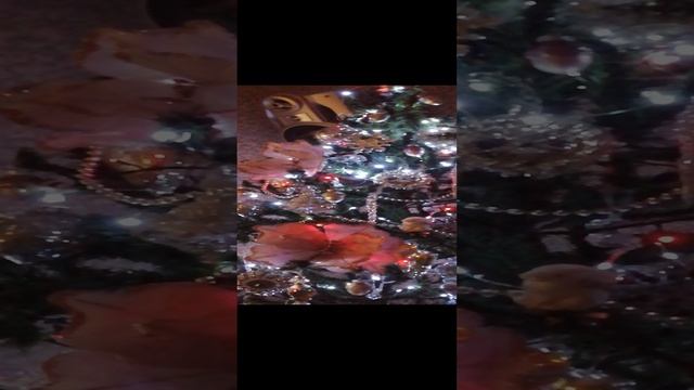 VID_20241221_212703.mp4