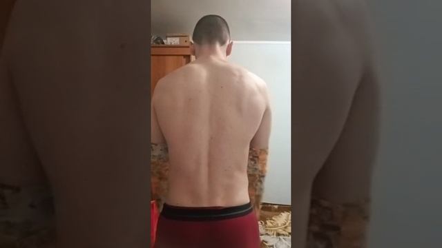 Мышцы спины