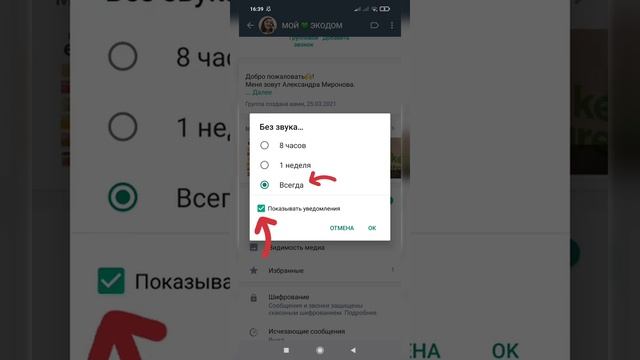 Как отключить звук уведомлений и сохранение медиав Whats App