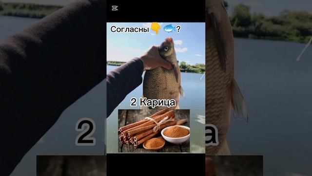 3 запаха которыке больше всего любит лещ