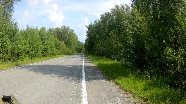Поход через Боровлянский бор. День 7-й