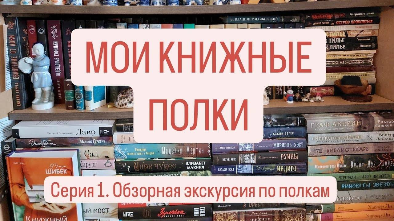 МОИ КНИЖНЫЕ ПОЛКИ | Обзорная экскурсия по моим полкам