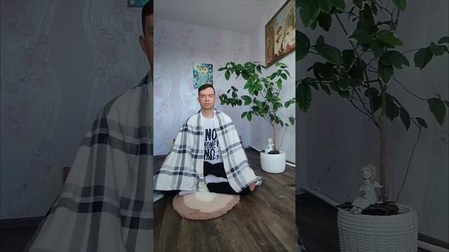 Медитация в ускоренной перемотке x100. Кошка убежала ловить птичек.