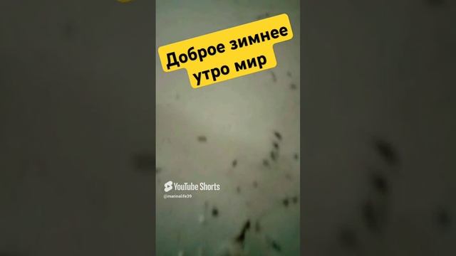 доброе зимнее утро.mp4