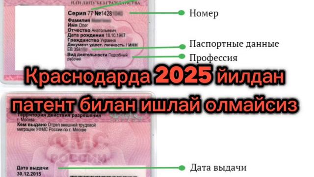 Краснодарда 2025 йилдан патент билан ишлаш таъкикланади🔥🔥🔥