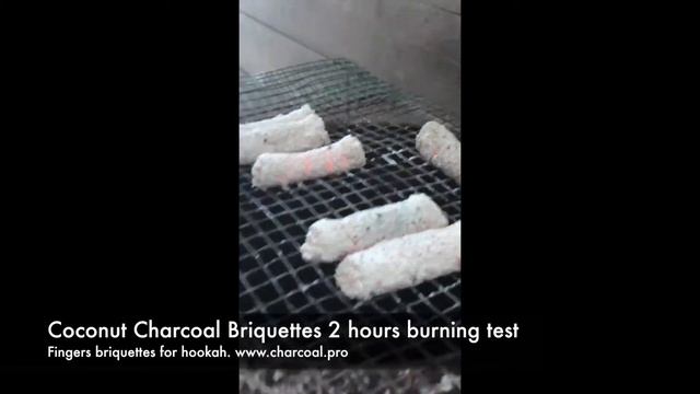 Coconut Charcoal Briquettes Burning Test 2 hours, Finger shape for hookah