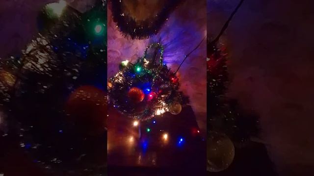 17 декабря 2024 г.