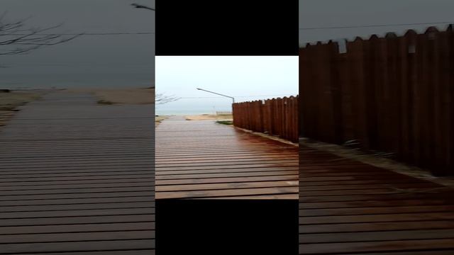 1000007789.mp4