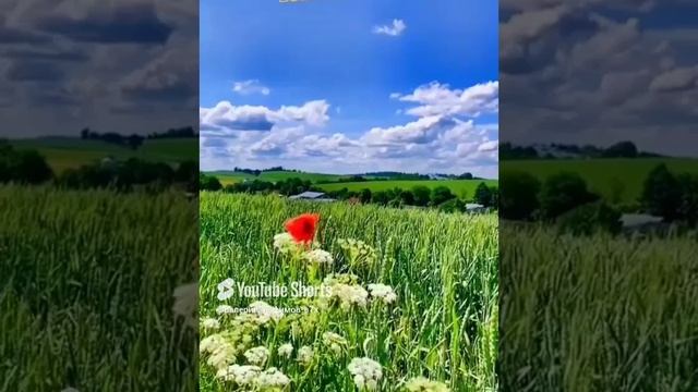 19 декабря 2024 г. (1).mp4