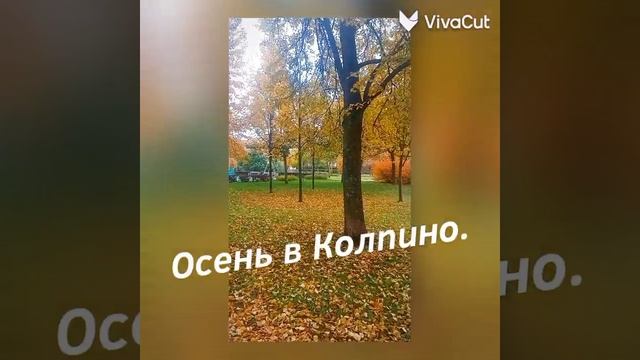 Осень в Колпино.
2024г