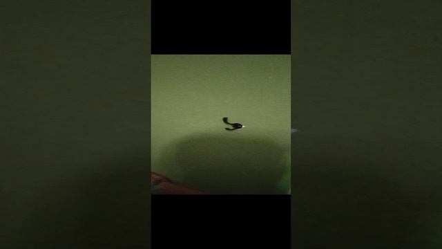 Этот КРЮЧОК нужен девушкам👍😀