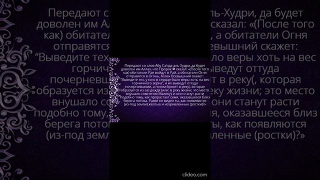 хадис24