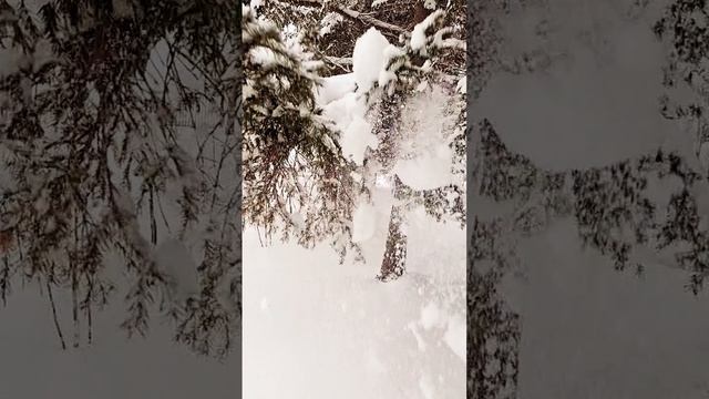 1000017395.mp4
