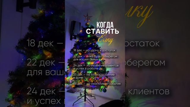 В какие даты ставить елку