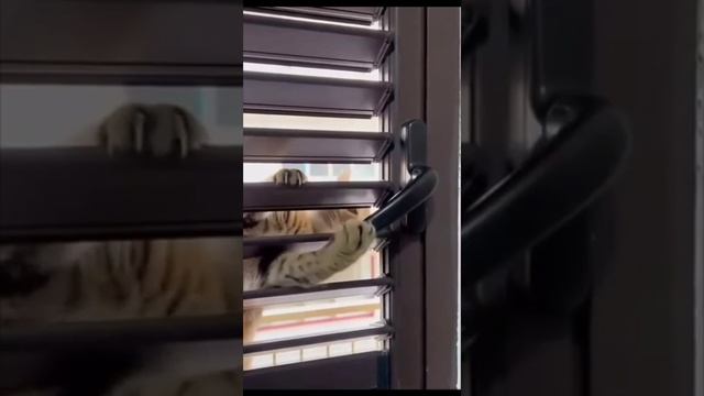 1000069123.mp4