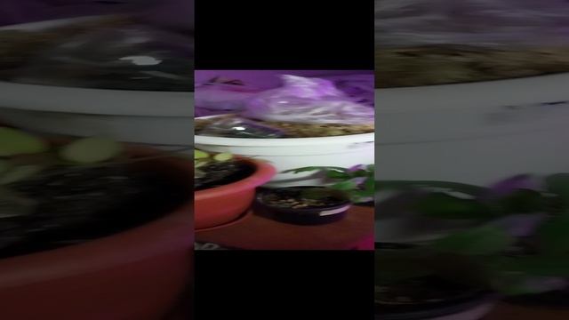 1000042151.mp4