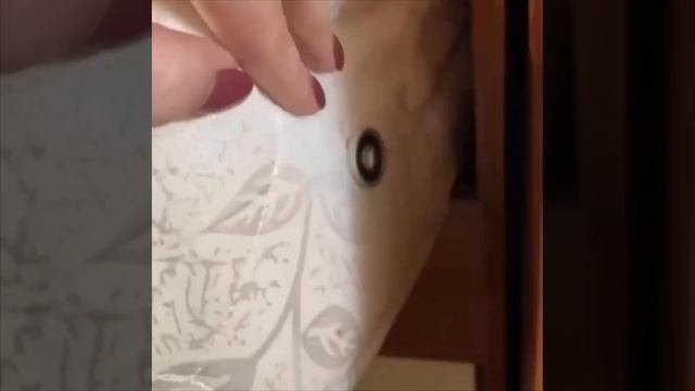 How to fix a sheet