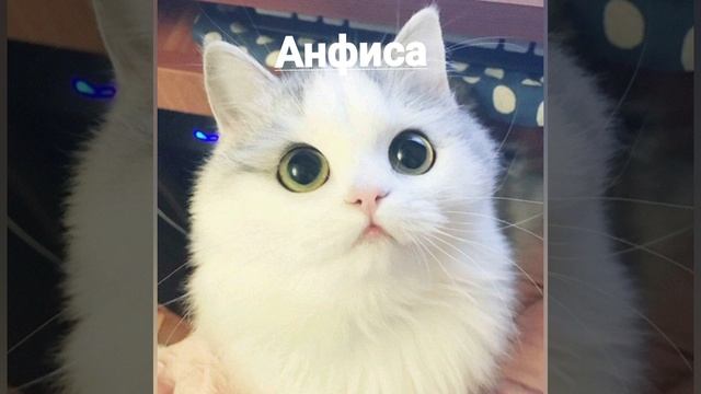 Именины 21 декабря