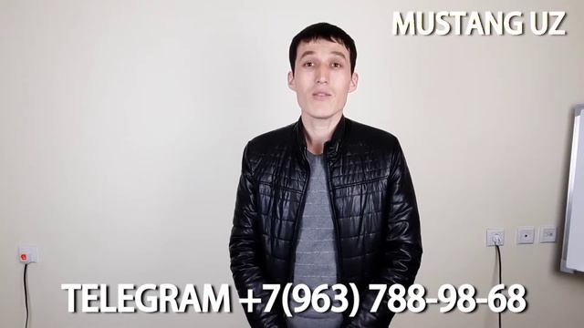Super Aksya 50℅ Skitka Mustang Uz