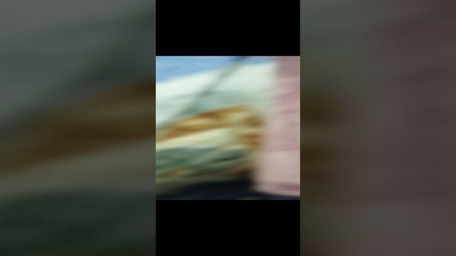 1000003547.mp4