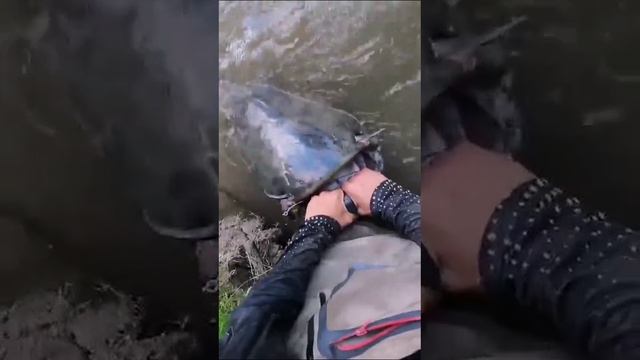 1000098549.mp4