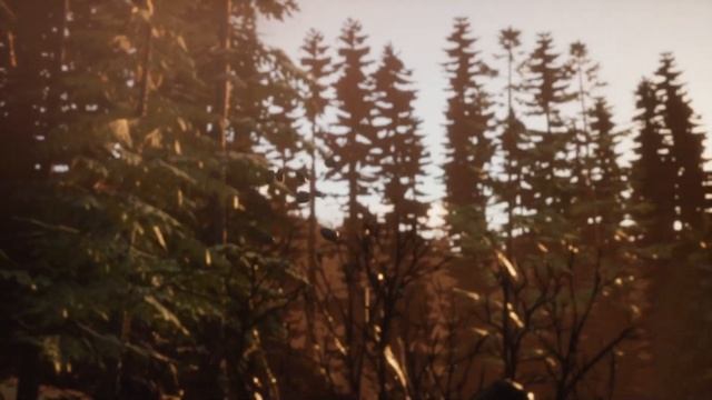 Life Is Strange 2 Эпизод 3 Глушь