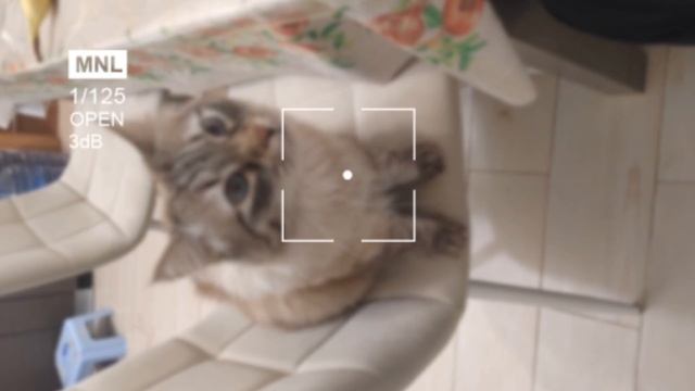 1000017363.mp4