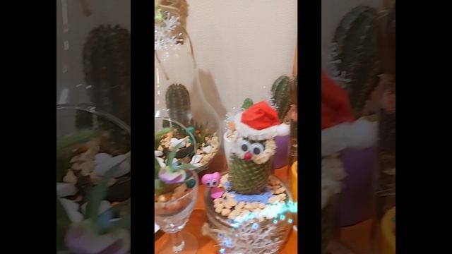 1000104230.mp4