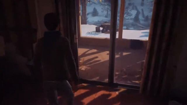 Mushroom (23) Life is Strange 2 [Lets Play PS5]