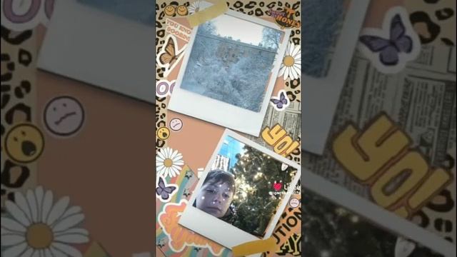 Like_7450579271094524854.mp4