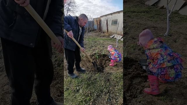 Дедушка и бабушка всегда найдут время для внуков, даже если сами заняты.