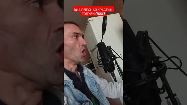 Голуби (remix) ВИА ПЛЕСНАЯ КРАСЕНЬ live