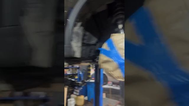 1000026548.mp4