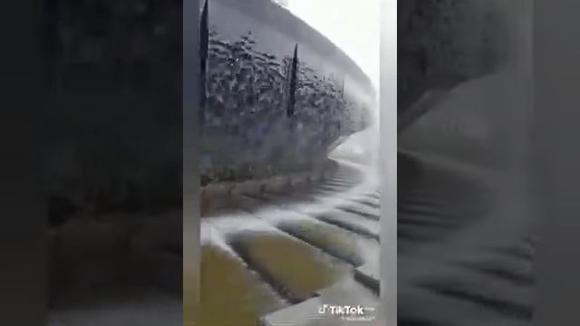 19 декабря 2024 г..mp4