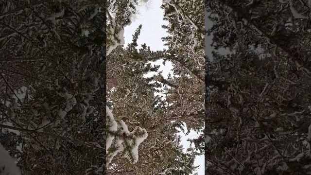 1000017318.mp4