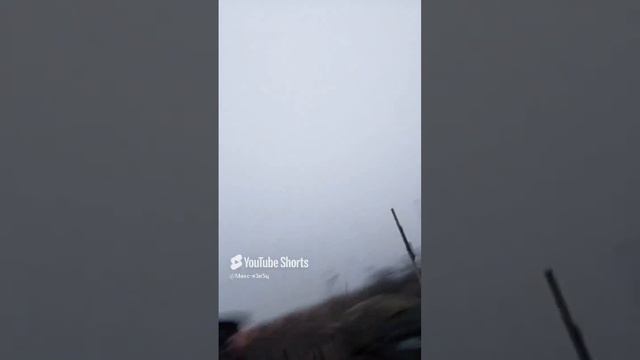 Бойцы СВО 2024