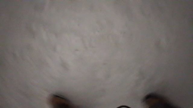 1000022698.mp4