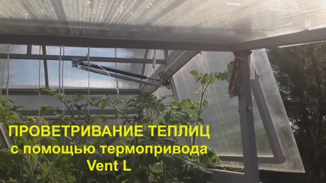 АВТО ПРОВЕТРИВАНИЕ. Привод Vent-L. Проветривание теплиц с помощью термо привода.  Август 2017.