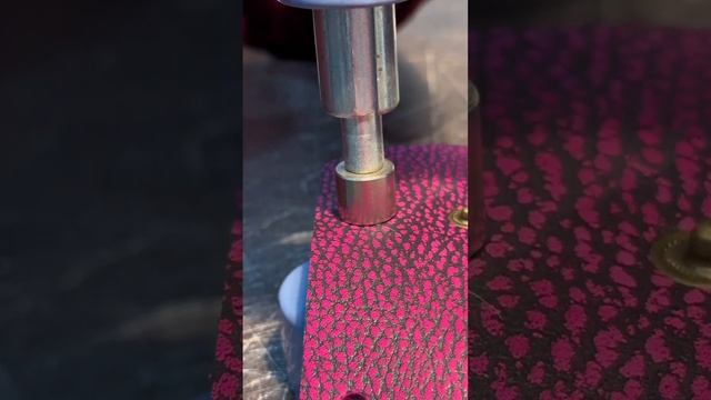 scene_output.mp4