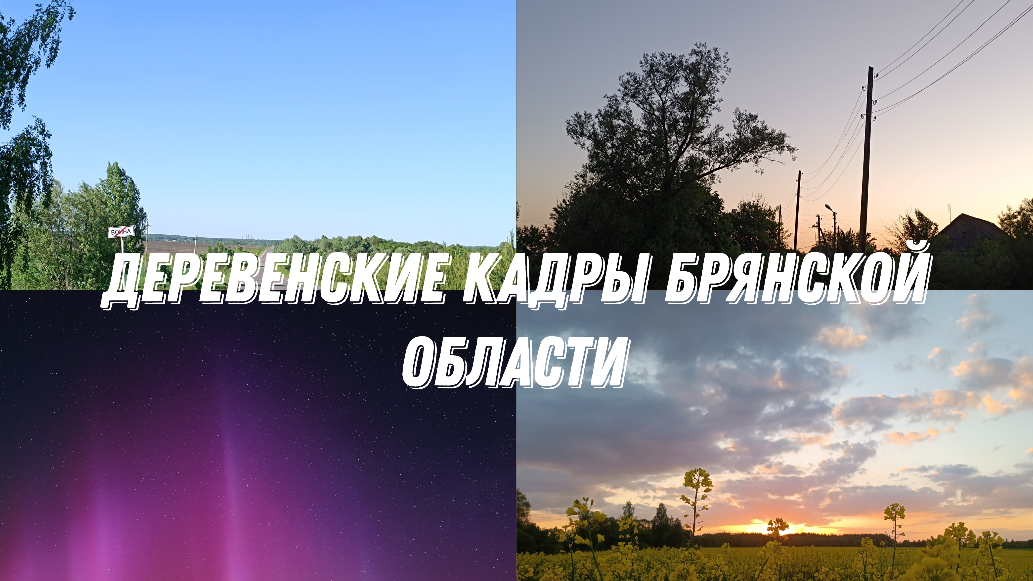 Природа и деревенские пейзажи Брянской области. Апрель-Май 2024 год