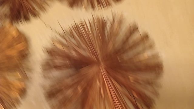20241209_101557