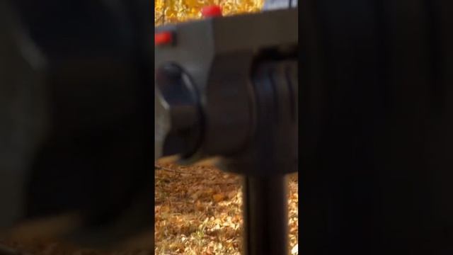 Осень листьями