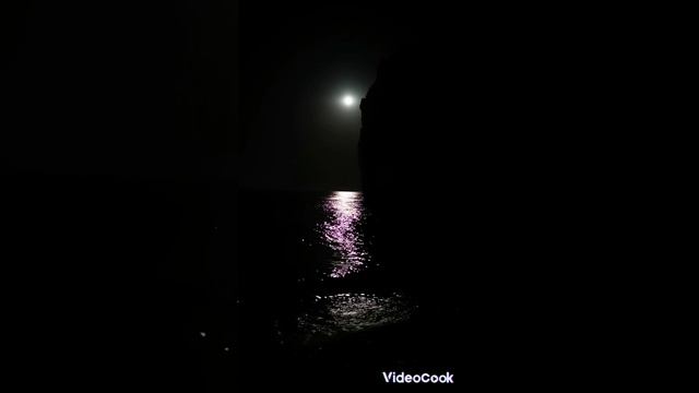 Слезы асфальта - Прости, за то что так любила