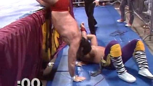 Royal Rumble 1989