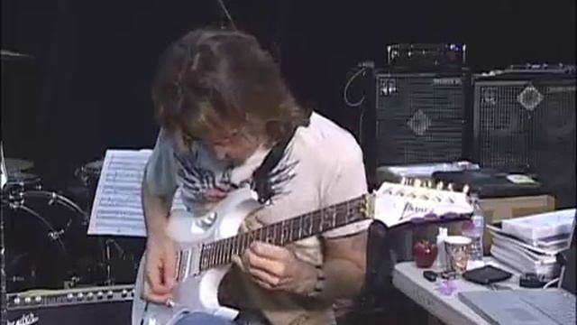 Steve Vai -True Temperament Ibanez JEM7VWH