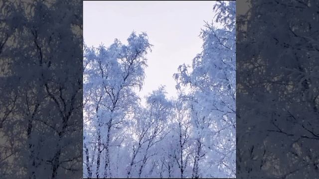 Белый Омск.